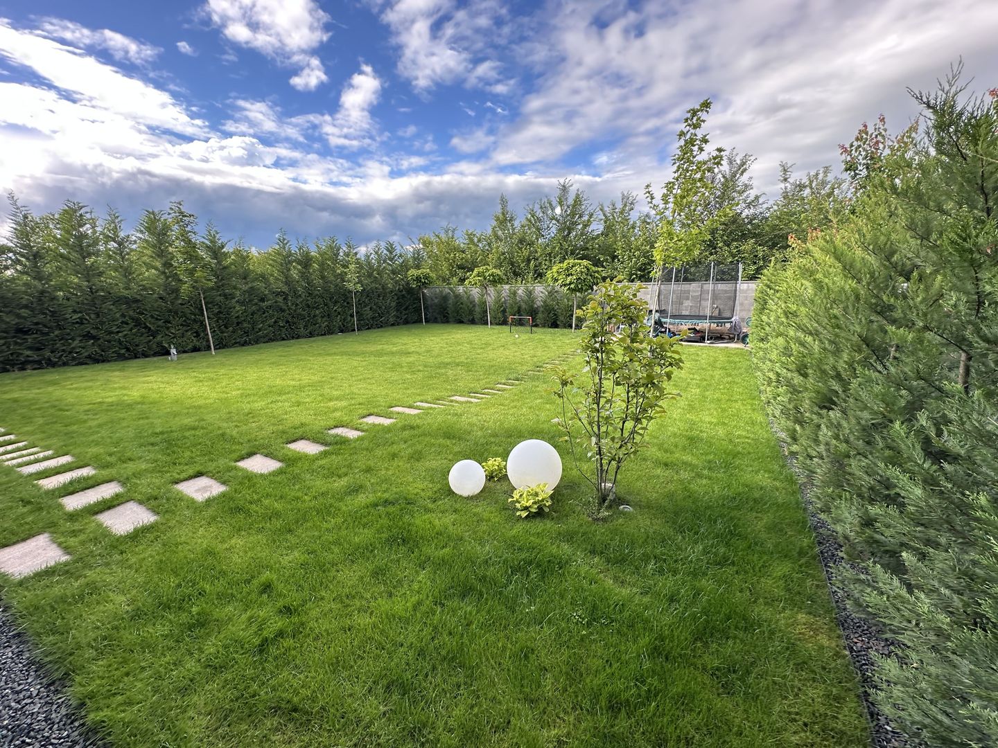 PROIECT  DEOSEBIT  IN  DUMBRAVITA - Poză 17