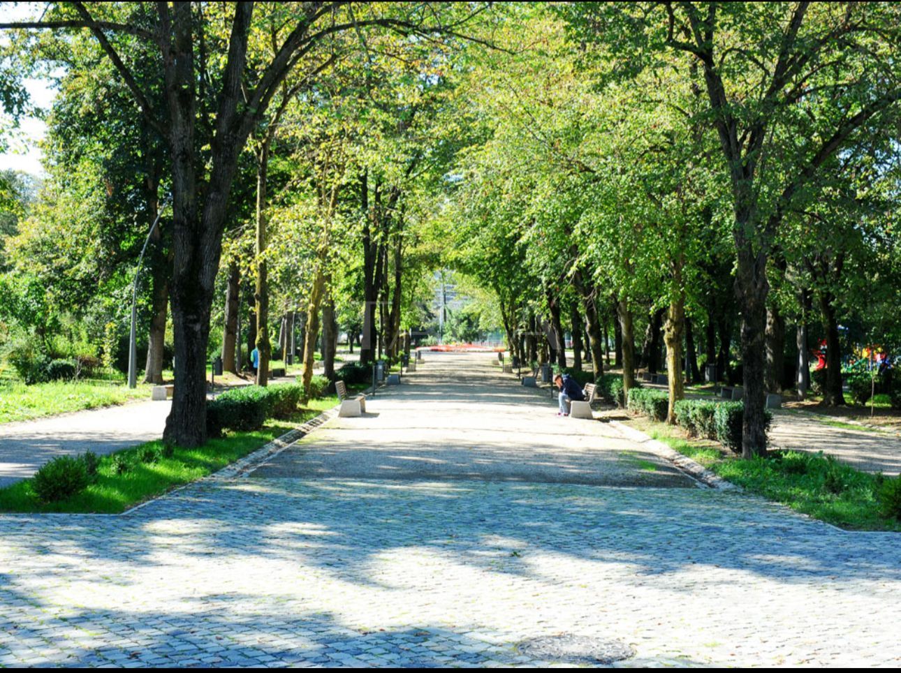 Oportunitate de investitie, 50 mp, zona Plopilor, Sala Polivalenta. - Poză 2