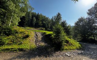 18000 mp de natura pura ,Lupeni, langa Straja - Poză 10