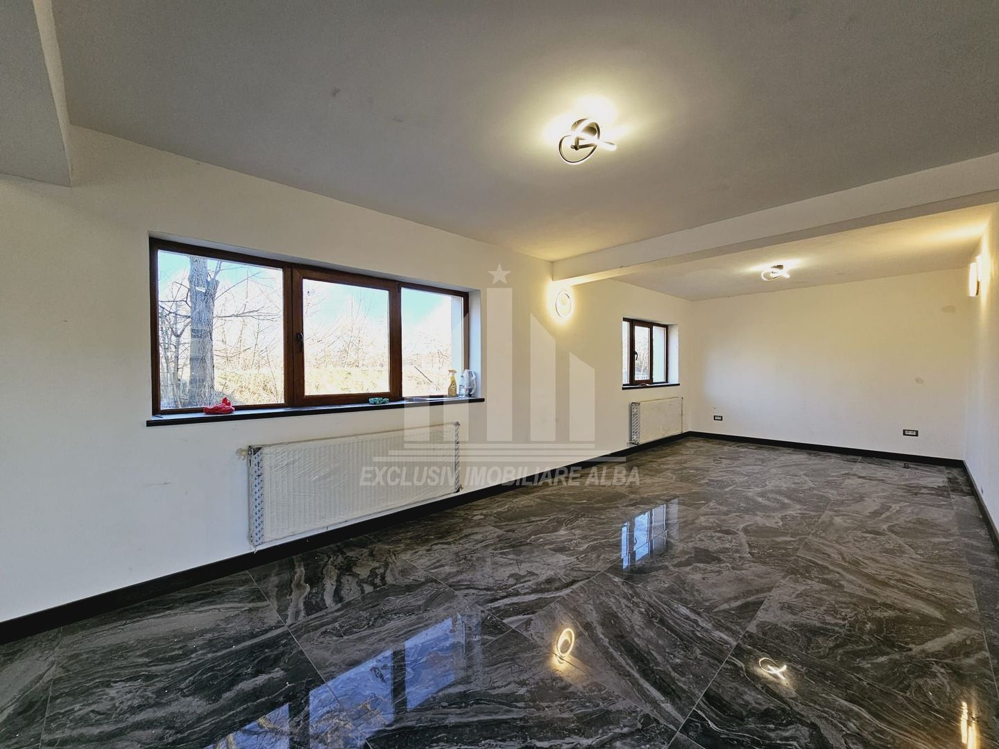 Casa noua de vanzare, Barabant - Poză 3