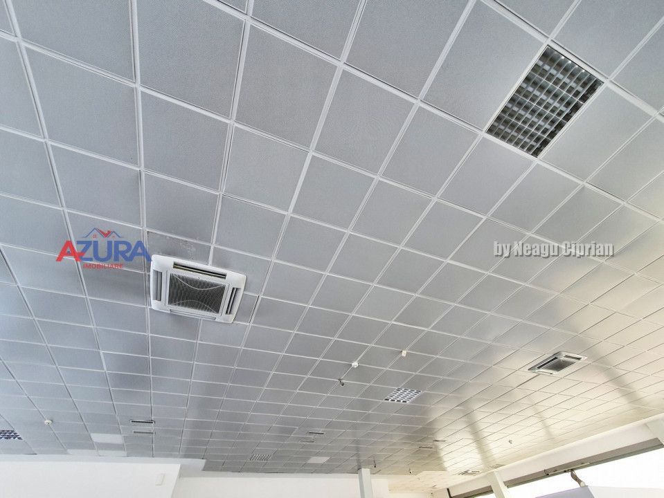 Spatiu Showroom + parcare, Stradal, DN65 Tiriac Auto Albota Pitesti - Poză 14