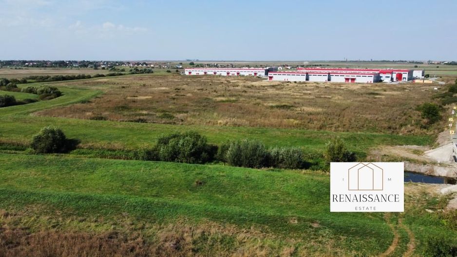 Teren PUZ Aprobat Pretabil Hale | 55.000mp - Park Industrial Sanandrei - Poză 8