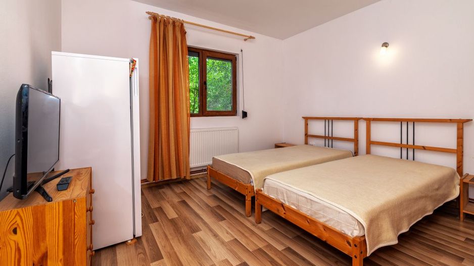  Proprietate de poveste în Corbi, Argeș - Doua case si 6300 mp teren intravilan - Poză 7