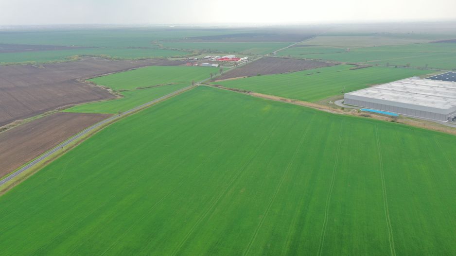 Teren industrial Dudestii Noi - Poză 1