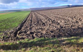 Teren 36 Ari | Mitocu Dragomirnei | 25.500 € - Poză 4