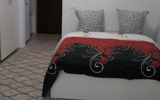 Garsonieră renovată, cartier Alexandru cel Bun, în spatele Poștei - Poză 4