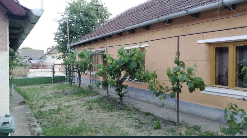 Ocazie Unica-2 Case+1 loc teren - Poză 3