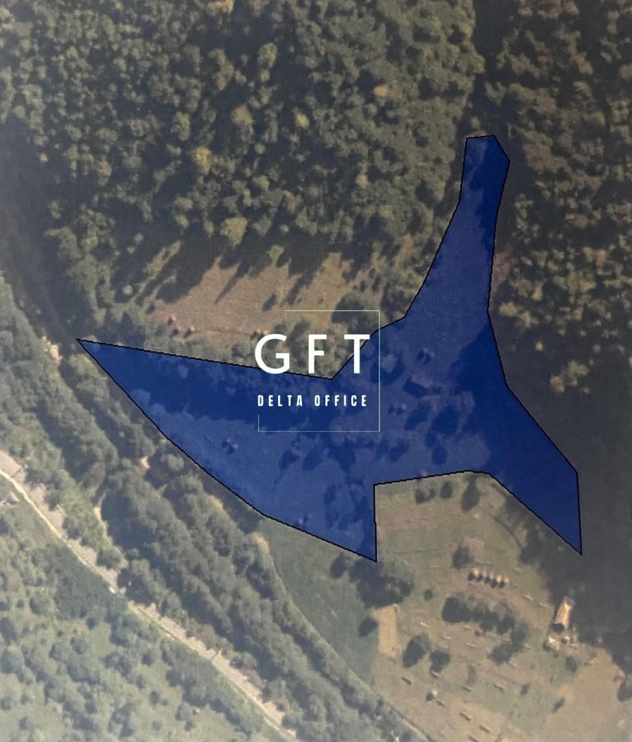 Teren 17898 mp + casa 58 mp-ideal fonduri europeane-Ilva Mica - Poză 2