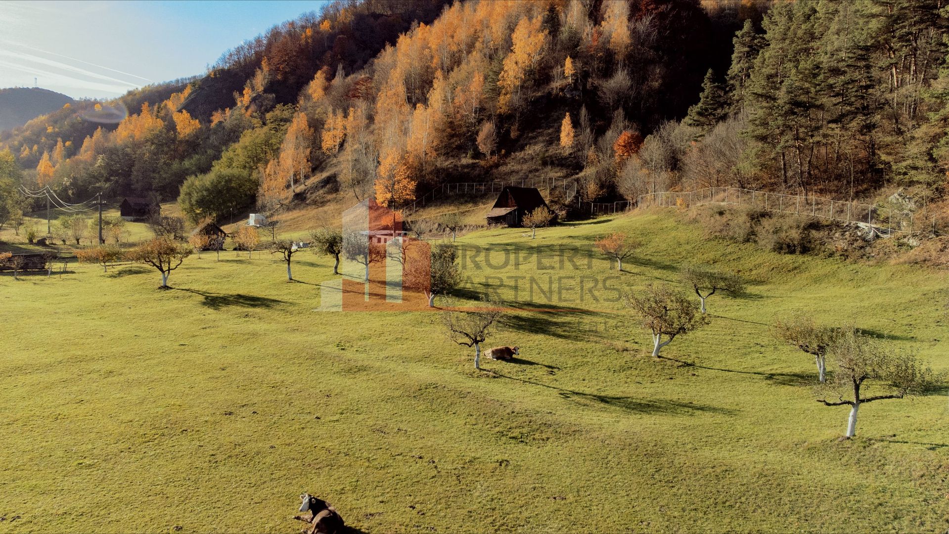 Teren 15.941 mp Moieciu | parcelabil | aproape de Castelul Bran - Poză 6