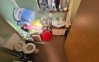 Casa Individuala 3 Camere, 350mp Teren, Zona Alba Micesti - Poză 12