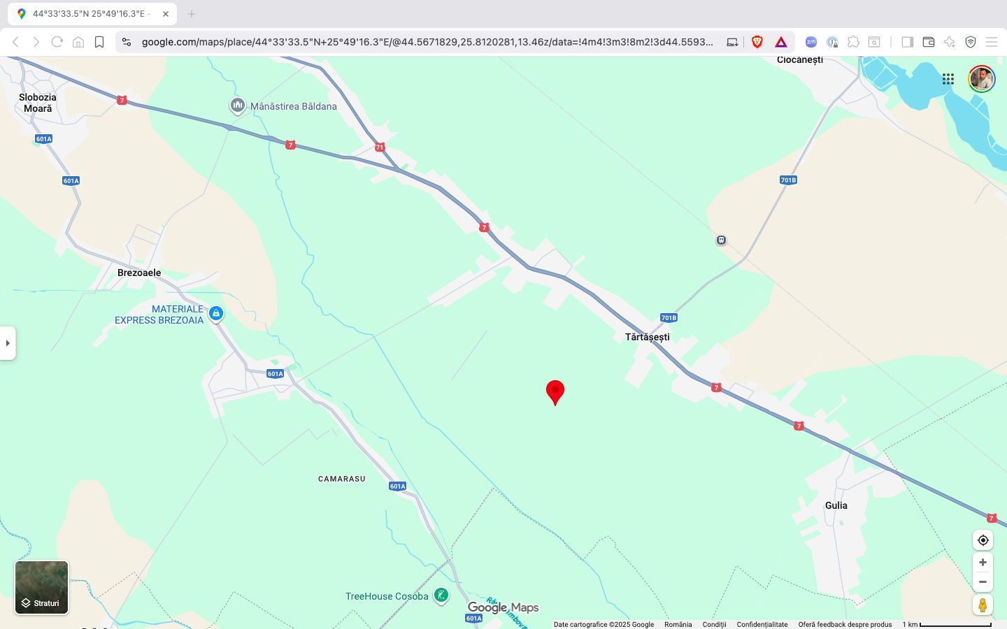 Teren extravilan 10.000 mp Tartasesti Dambovita - Poză 5