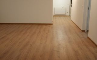 Casă individuală parter, 115 mp + 700 mp teren – Cicârlău - Poză 9