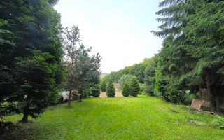Cabana de vanzare in Capusu Mare - Poză 11