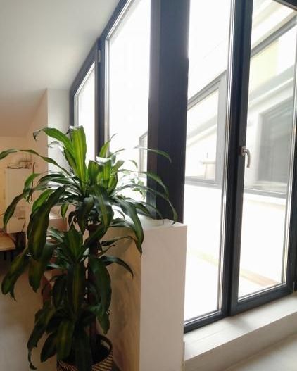 Închiriere 2 Camere Unirii, Centrală, Terasă, Petfriendly - Poză 3