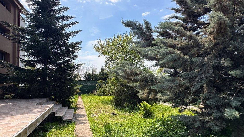 Tamasi - langa padure, casa 300 mp teren 711 mp, personalizabila - Poză 3