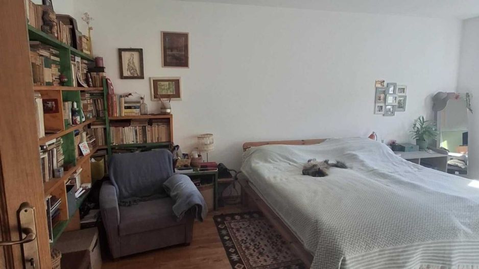 Casă cu grădină în centrul orașului Satu Mare - Poză 7