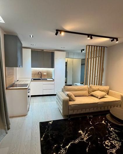Apartament 2 camere ,bloc ou , curte proprie - Poză 12