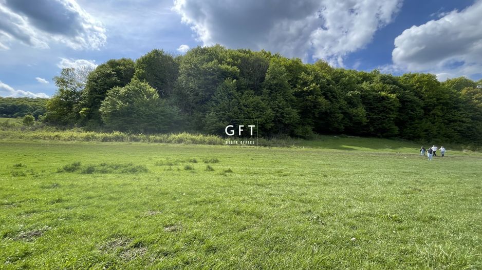 Teren extravilan 10000 mp, Jelna. - Poză 6