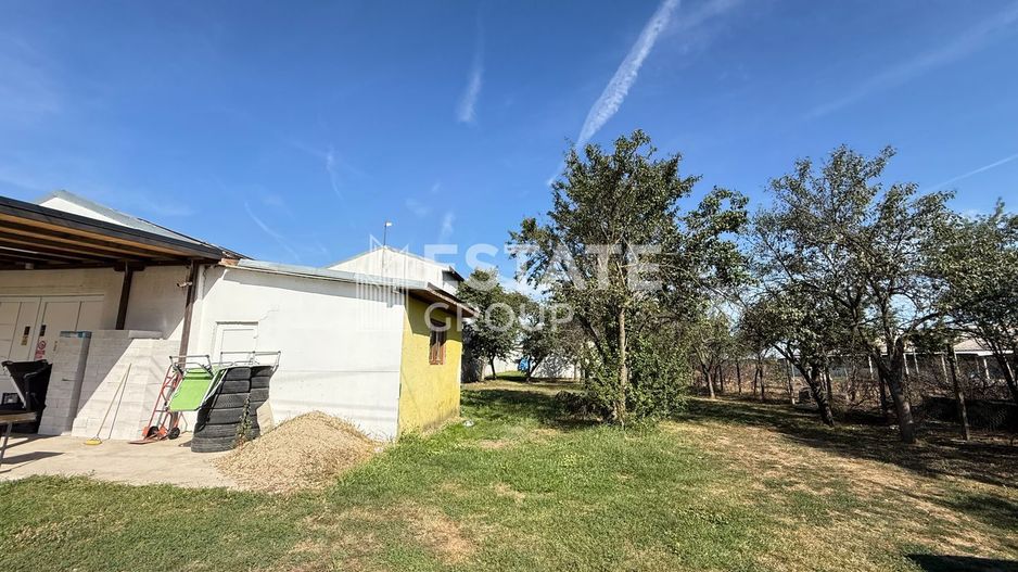 Hala Bucovat pentru productie sau depozitare - Poză 4