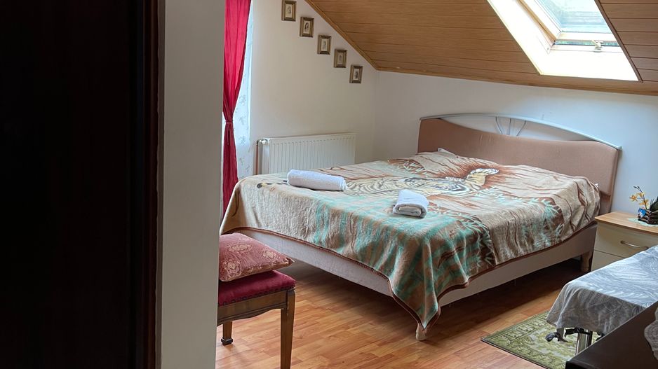 Proprietate in incantarea naturii, oportunitate investitie/rezidential, Predeal - Poză 39