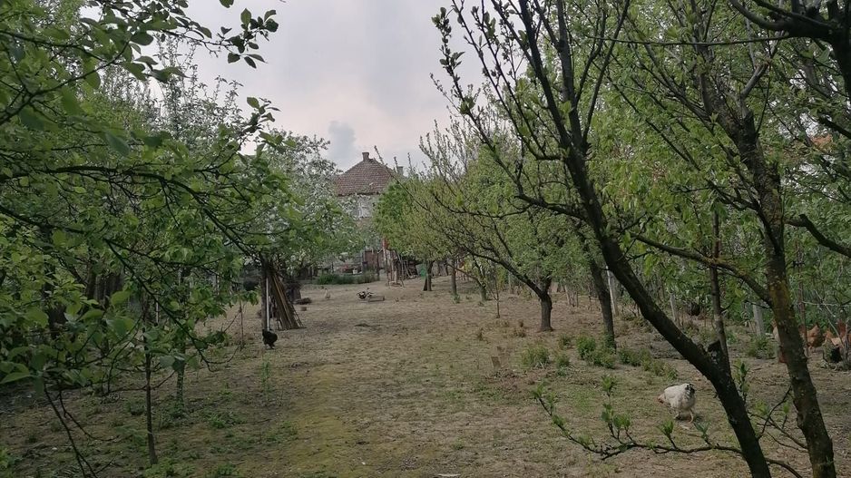 Ag EUROPA vinde casa 6 cam teren 11 ari în zona 14 Mai. - Poză 4