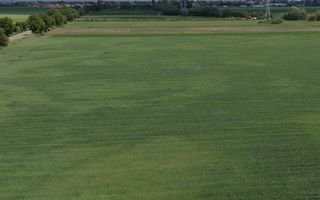 Teren intravilan 50000 mp, cu PUZ, Aprobat - zona Halchiu/Codlea - Poză 9