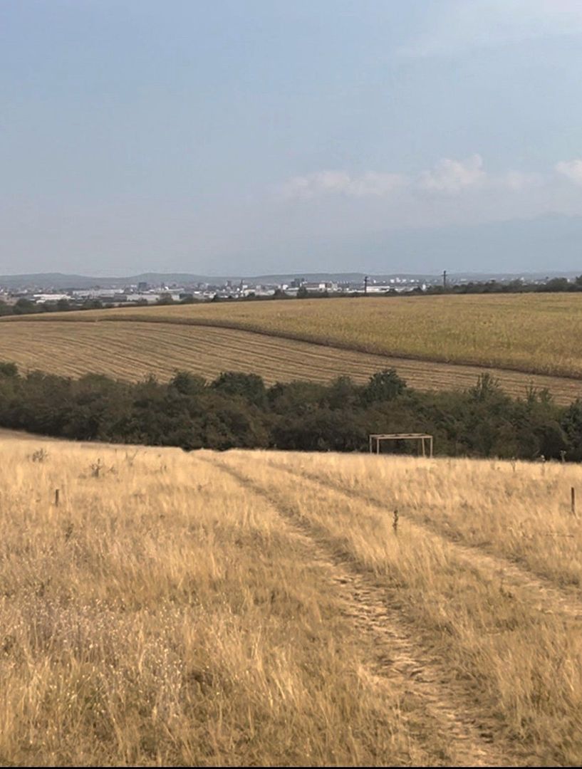 Parcele de teren extravilan pentru cabane- Rusciori ,jud Sibiu - Poză 1
