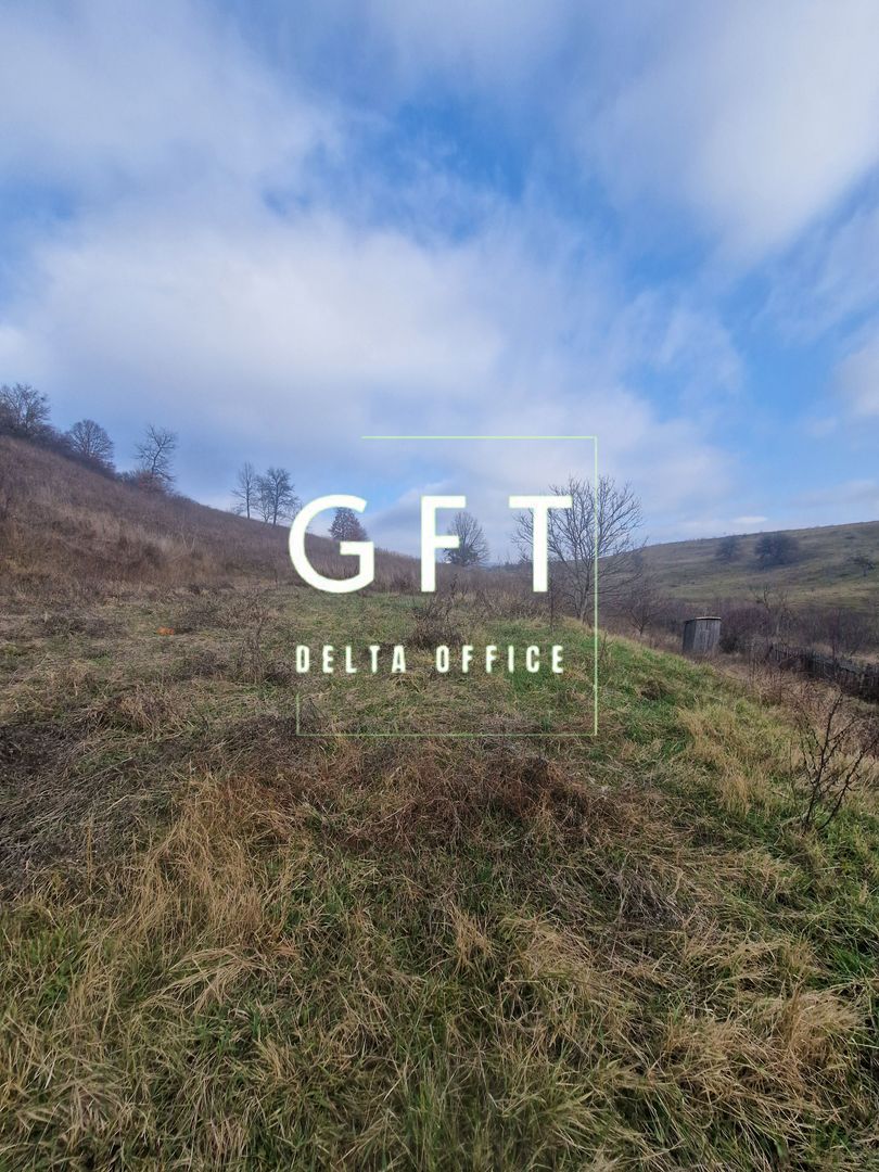 Teren intravilan | Livezile - Poză 3