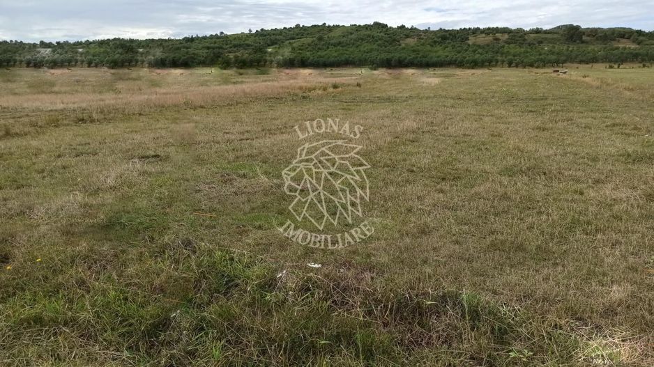 TEREN INTRAVILAN 5000 mp-ideal case,hale-Livezile PRET PROMO! - Poză 1