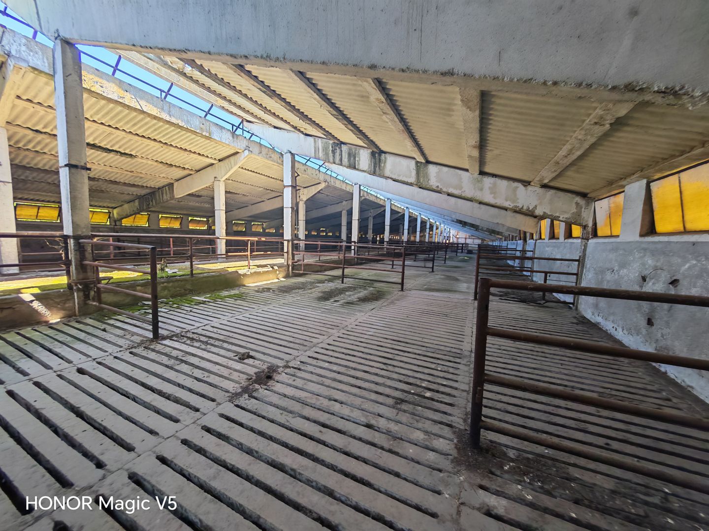 Spațiu industrial -fermă Orțișoara - Poză 1
