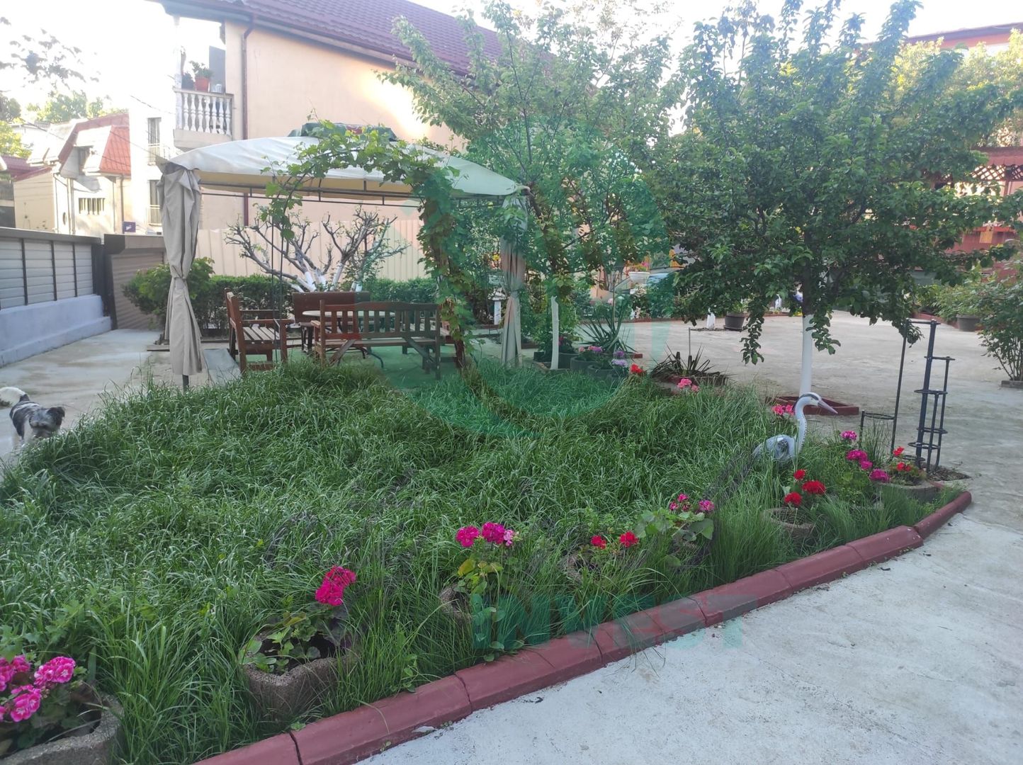 Casa cu teren de 792 mp - Poză 1