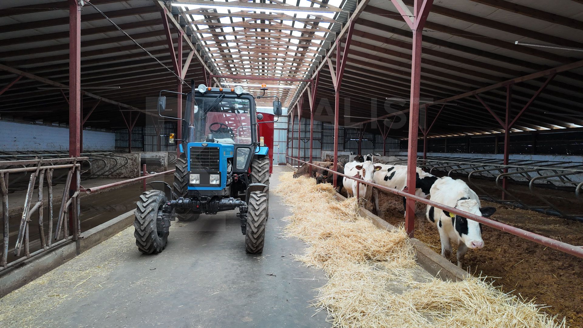 Vânzare, spațiu industrial, Raionul Glodeni, Satul Hîjdieni - Poză 4