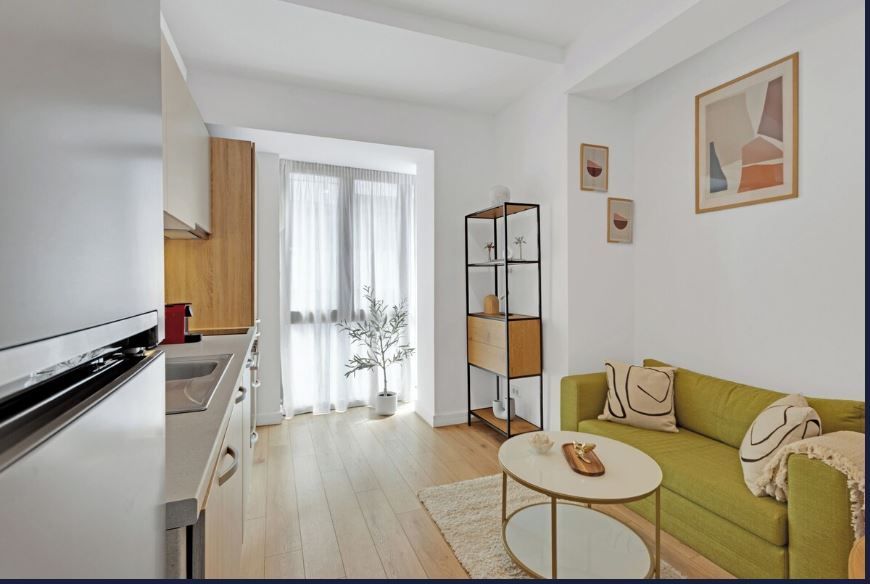 2-room apartment near George Enescu Museum\Victoriei - Poză 7