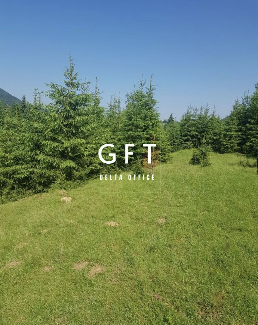 TEREN+PADURE, PASUL TIHUTA - Poză 6