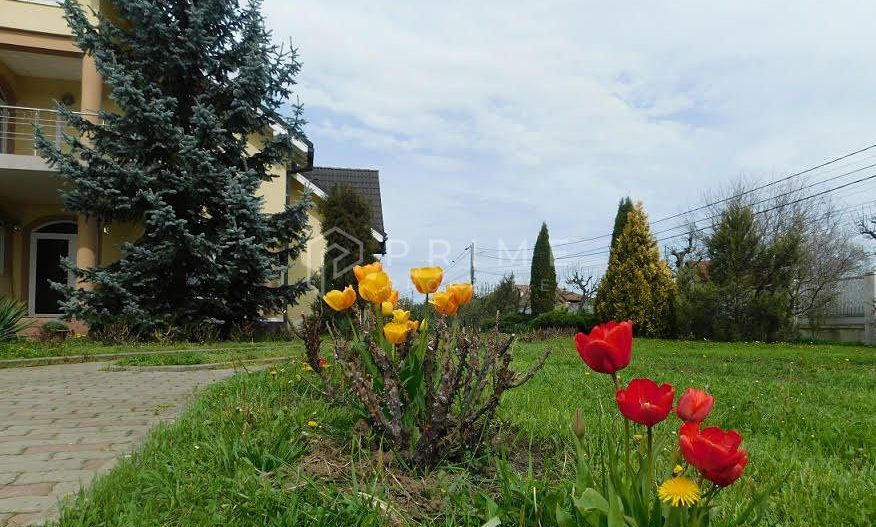 Reședință de lux cu potențial comercial –zonă Băi, Sângeorgiu de Mureș - Poză 2