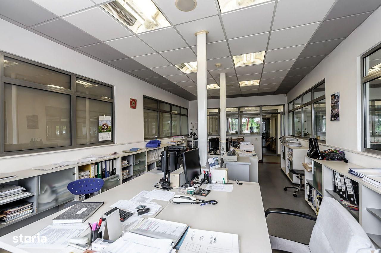 Hală la cheie pentru producție și depozitare Arad - Poză 9