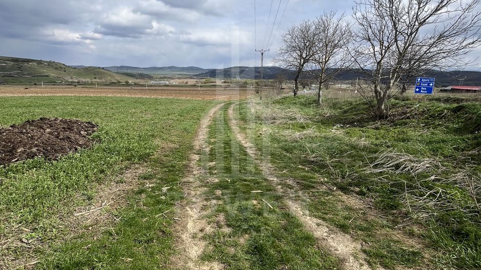 Teren  de vânzare DAIA  OPORTUNITATE  pentru dezvoltatori - Poză 2