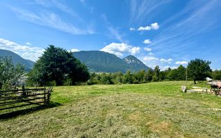 Platou montan, 6631 mp intravilan, electricitate,  langa pădure - Poză 2