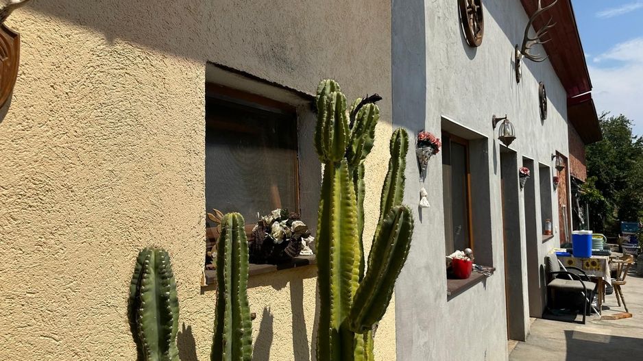 Casă individuală în Vatra Veche, Giarmata – 300 mp utili - Poză 18