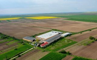 HALE INDUSTRIALE & PLATFORME BETONATE & TEREN INTRAVILAN 23500MP CRAIOVA - Poză 7