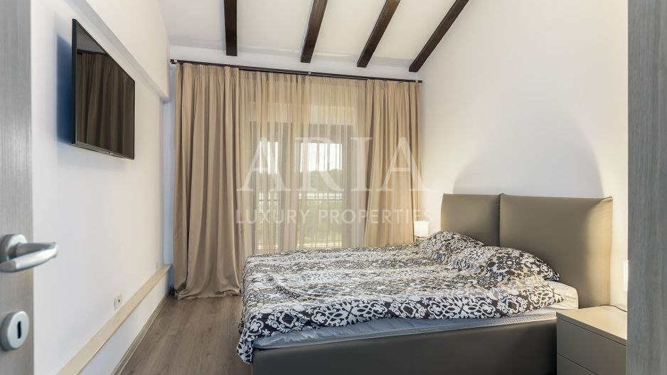 VILA SNAGOV WATERFRONT - PISCINA - PONTON 40M DESCHIDERE LA LAC - Poză 19