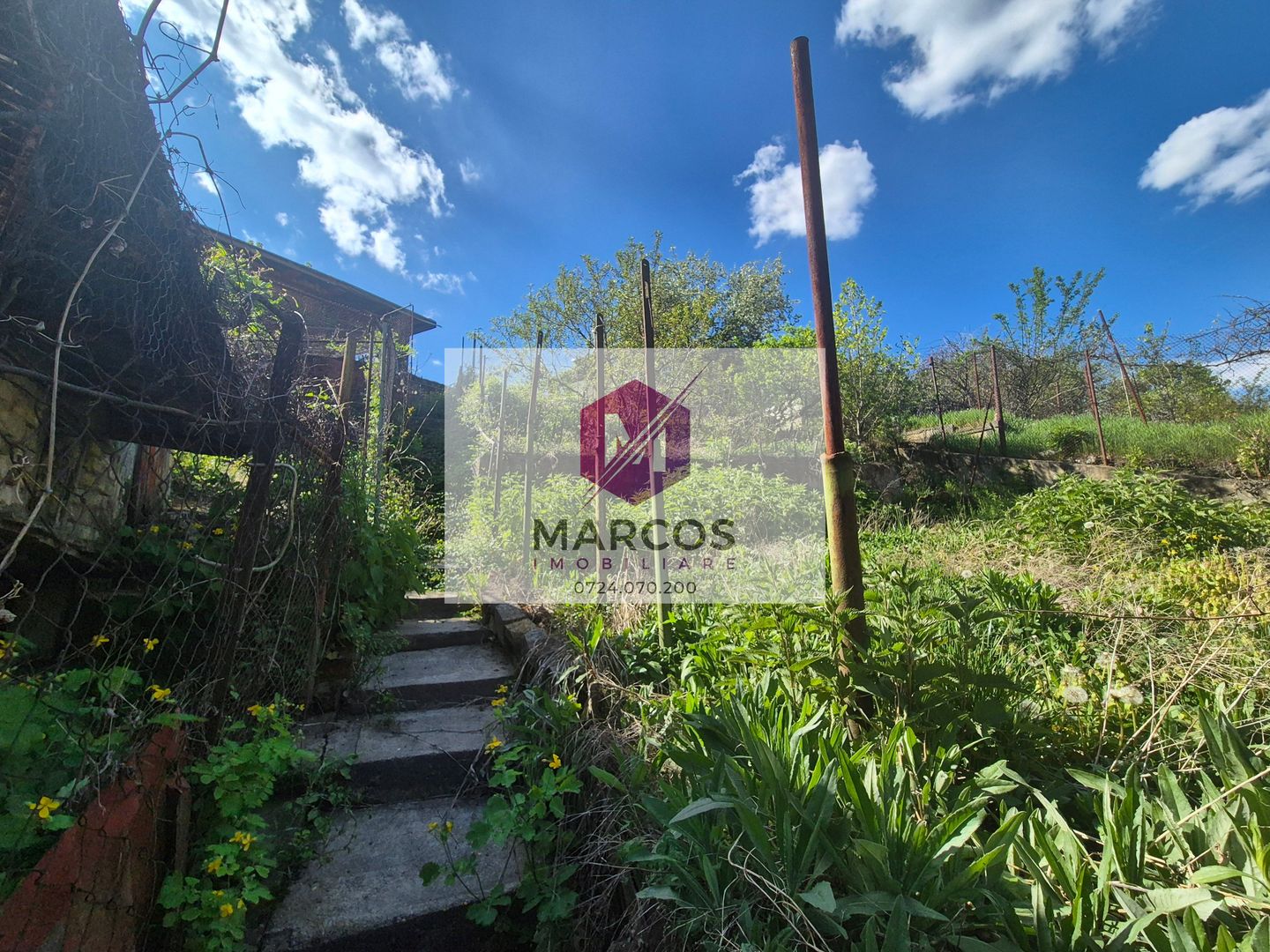 Casa langa Gradina Zoologica - Poză 8
