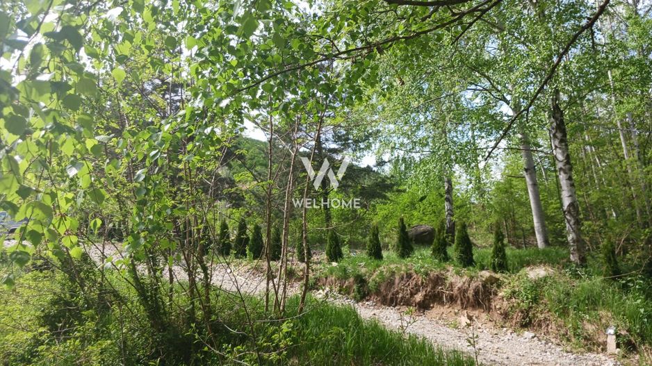 Teren pentru cabana, Marajdie deschidere la rau Gura Raului Sibiu - Poză 2