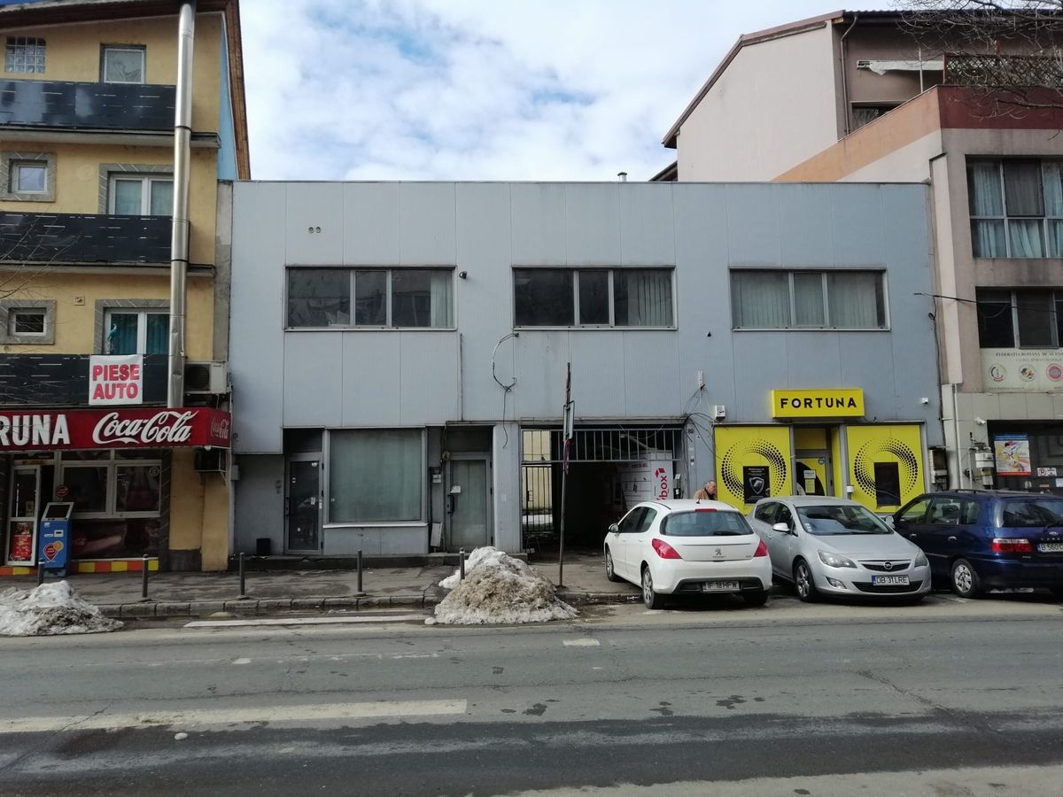 Teiul Doamnei numarul 89, Bucuresti, Sector 2 - Poză 1