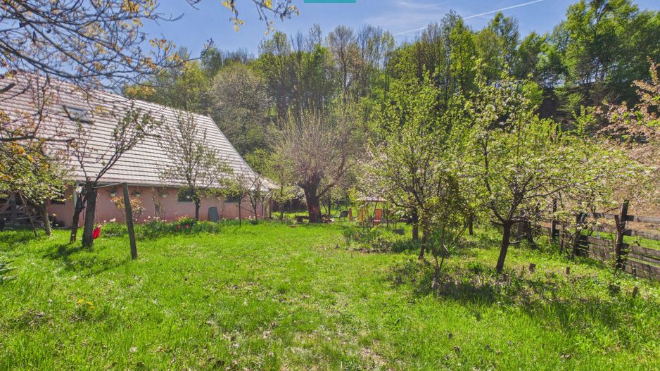 Casă Câmpani, 8000 mp teren, la poalele Apusenilor - Poză 19