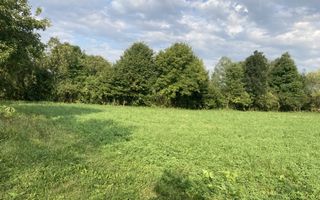 Teren Intravilan 3200 mp de vânzare - Poză 3