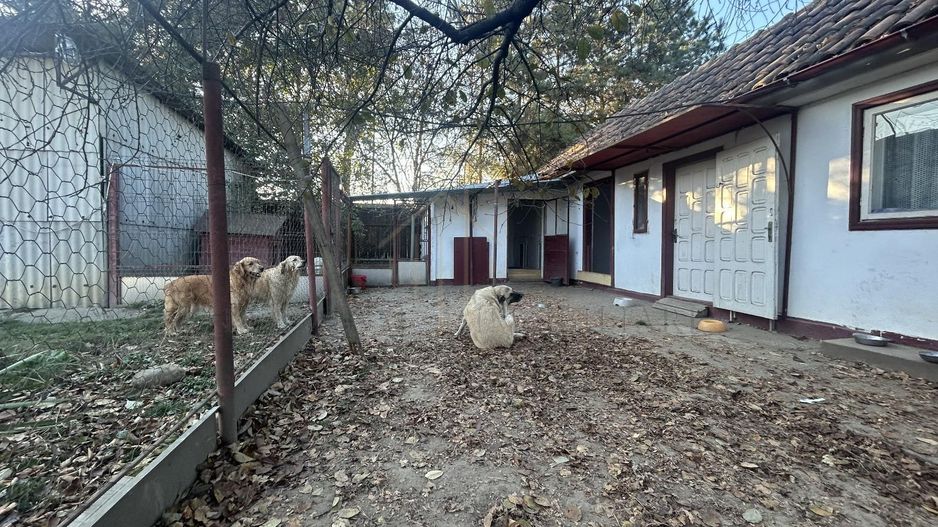 Proprietate multifuncțională cu potențial pentru investiții - Poză 7