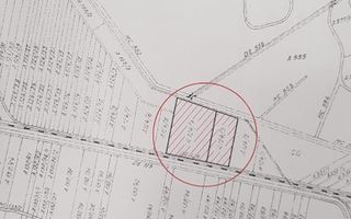 Mosnita Noua Teren 10.000mp | Front 63m | La asfalt - Zona de Case - Poză 7