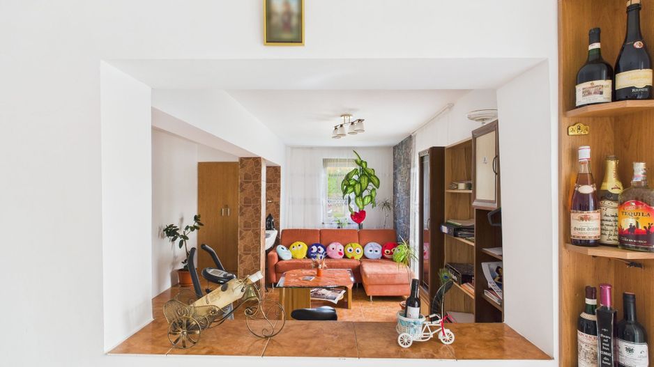 Casă individuală la Beregsău Mare, 2890 mp teren - Poză 5