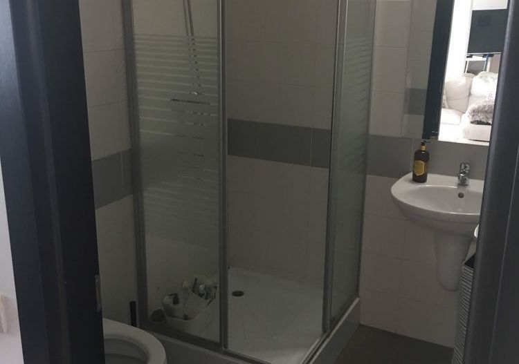 Duplex 2 camere | Terase | Serena Apartments – lângă Parcul Carol - Poză 6